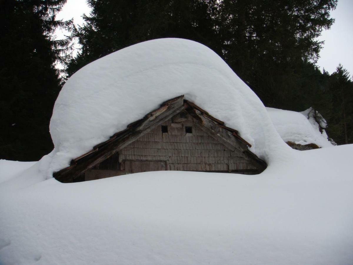 Ferienhaus Gubel *